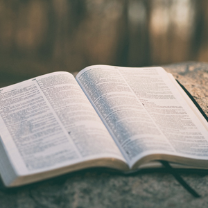 BASES BIBLICAS DE LA MISION - C. René Padilla