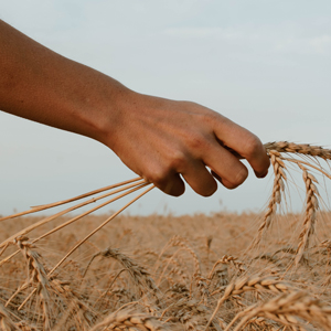 EL LLAMADO DE DIOS A LA MISION - David W. Shenk